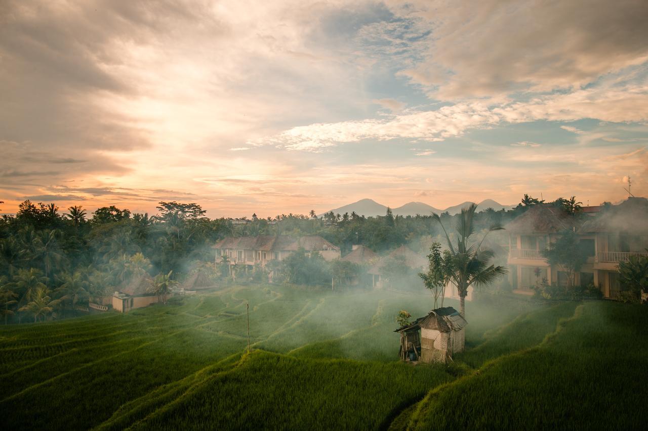 B Saya Villas Ubud Kültér fotó