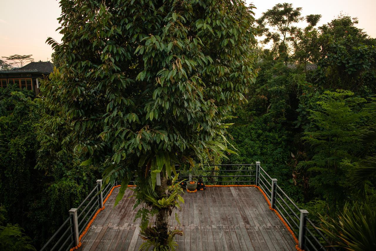 B Saya Villas Ubud Kültér fotó